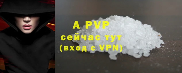 PSILOCYBIN Магадан