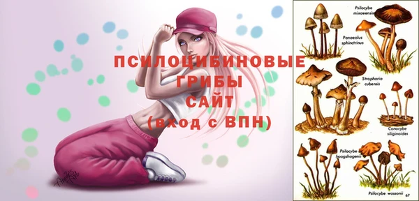 дмт Мегион