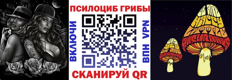 закладка  Новая Ладога  гидра вход  Псилоцибиновые грибы GOLDEN TEACHER 