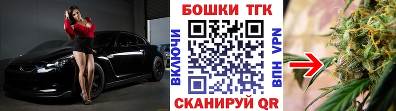 Канабис план  наркотики  Новая Ладога 
